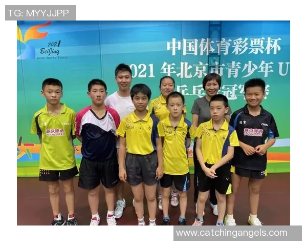 北京乒乓球队的运营模式与发展策略深度解析