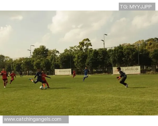 李丽的足球人生：从绿茵场到梦想实现的心路历程