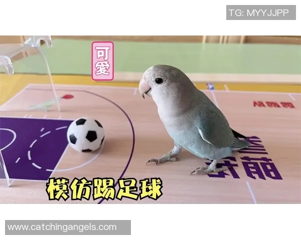 模仿足球明星搞笑恶搞路人瞬间引发围观笑声不断 模仿足球明星搞笑恶搞路人瞬间引发围观笑声不断