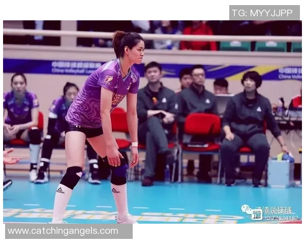 数据分析：深圳排球队的速度表现