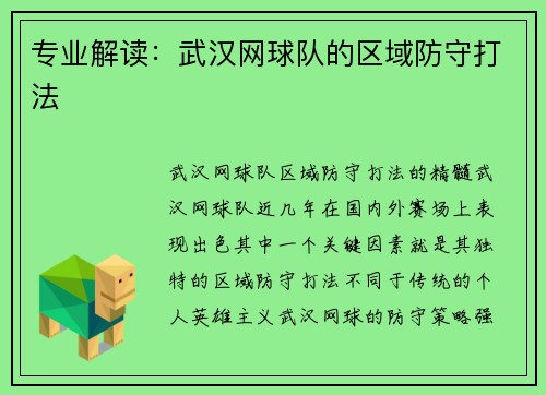 专业解读：武汉网球队的区域防守打法