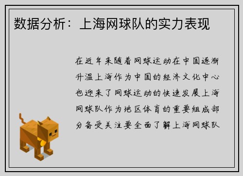 数据分析：上海网球队的实力表现